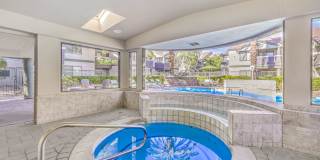 Desert Sage Gallery 40