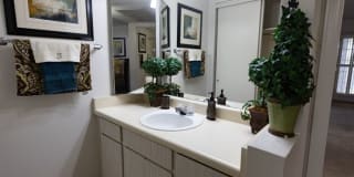 Crest Oasis Gallery 31