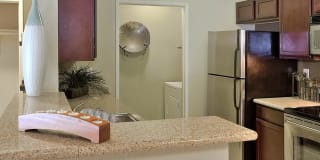 Los Cabos Villas Gallery 3