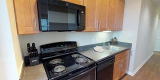 The Mount Royal Gallery 1