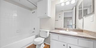 Flint at 290 Gallery 21