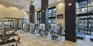 The Moderne Gallery 4