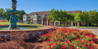 Central Park Gallery 10