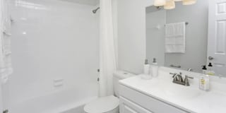 The Trails Gallery 9