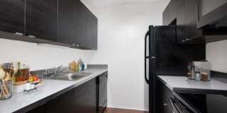 1111 North Dearborn Gallery 15