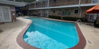 Wilshire on Mockingbird Gallery 11