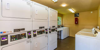 Brushy Creek Village Apts. Gallery 30