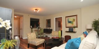 City Plaza Gallery 7