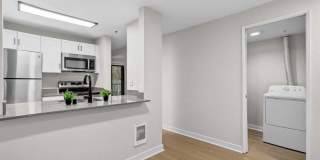 Oceana Gallery 4