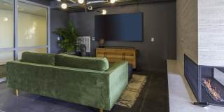Lotus Republic Gallery 64