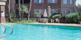 Palm Terrace Gallery 3