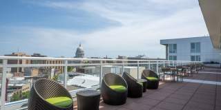 Ovation 309 Gallery 36