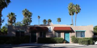 Palm Garden Gallery 21