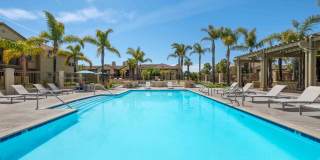 Vanoni Ranch Gallery 20