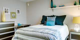 Student Housing - ReNew Tallahassee Gallery 4
