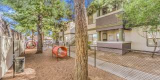 Desert Sage Gallery 49