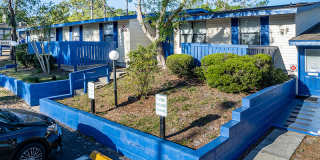 Orlando Sky Gallery 48