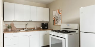 Cleveland Terrace Gallery 1