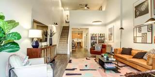 The Oasis Gallery 35