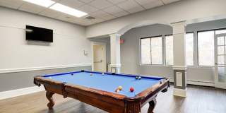Tanglewood Village Gallery 16