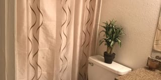 Colonies Landing Apartments Gallery 10