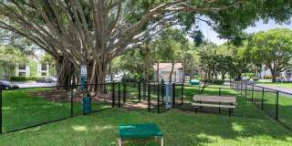 Turtle Cove Gallery 15