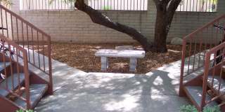 Mountain Plaza Gallery 22