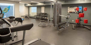 Regency Park Gallery 13