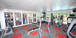 6Eleven Lamar Gallery 15