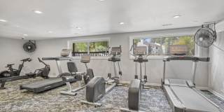 Flats at Market Street Gallery 17