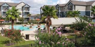 Oak Forest Gallery 10