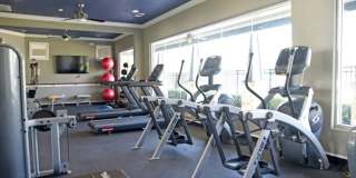 Oak Forest Gallery 8