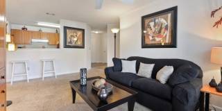 Carrington Point Gallery 2