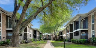 Springfield Gallery 1