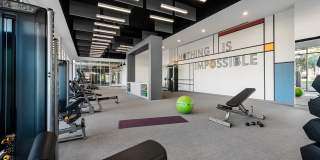 The Piedmont by Mark-Taylor Gallery 13