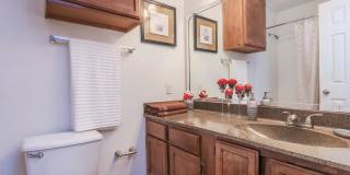 Avistar on the Parkway Gallery 17