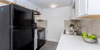 Palisade Park Gallery 3