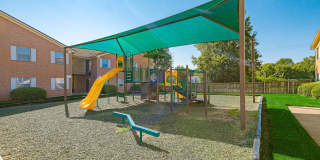 Shelby Grove Apartments Gallery 20