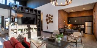 4 Farms at Horse Pen Creek Gallery 7