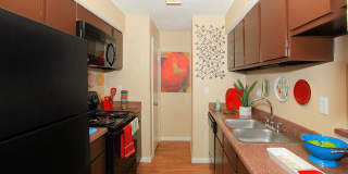 Avistar at the Crest Gallery 1