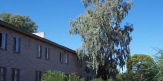 Mountain Plaza Gallery 12