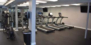 The Lake Shore Apartments Gallery 32