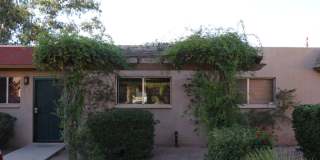 Palm Garden Gallery 23