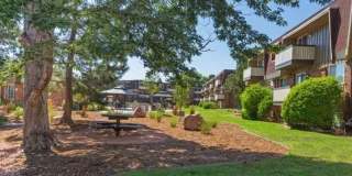 The Park at Whispering Pines Gallery 5