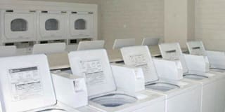 Walnut Terrace Gallery 19