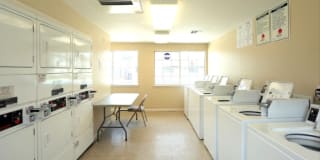 The Carlyle Gallery 10