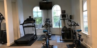 Oxford at Sonterra Gallery 13