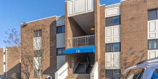 Camden Hills Gallery 36