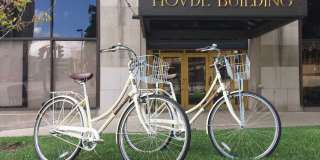 Ovation 309 Gallery 34