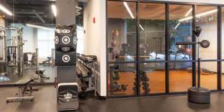 The Scholar The Scholar Gallery 10